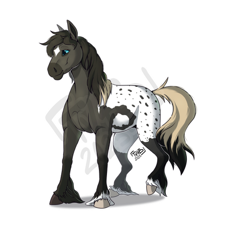 . • Esquisse • .